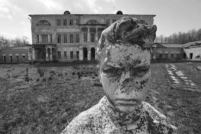 Contemporary Photography